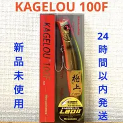 メガバス カゲロウ 100F ヴィジブルSLシャッドのサムネイル