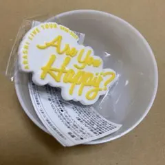 嵐 会場限定 ガチャ 歴代ツアー ロゴマグネット Are you Happy?