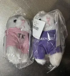 Item thumbnail for item 3137f46d-24fd-420e-b712-2c92a420df76