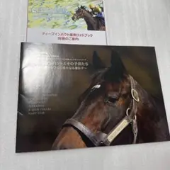ディープインパクトとその子供たち フォトブック 非売品 当選品 写真集