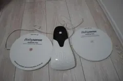 Item thumbnail for item 317e2e93-2126-4470-9023-35f93a7bac25