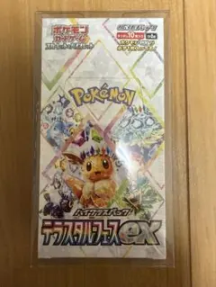 (シュリンク付き)ポケモンカードゲーム テラスタルフェスex 1BOX
