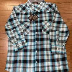 Item thumbnail for item 6ae67a66-a6f2-4e88-a8dd-520f702ac4e3