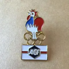 FFF フランス代表 ワッペン エンブレム - メルカリ