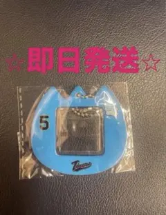 阪神タイガース　近本光司　大山悠輔