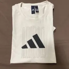 Item thumbnail for item 4faa3a42-f784-4708-b9a2-3e90540f1609