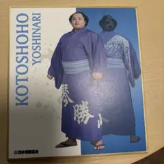 Item thumbnail for item 37e255be-879c-411f-a30d-d112d97ef8ab