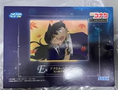 名探偵コナン 紅の修学旅行 セガラッキーくじ アクリルスタンド おまけ付き