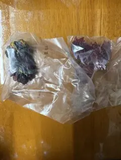 一番くじ ゴジラ 怪獣乱舞 E賞モンスターヘッドマグネット2種セット