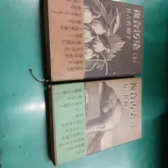 Item thumbnail for item 5a39ae39-bcf9-4f96-aa6c-d09d91e5b1dd