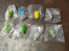 ネイチャーテクニカラー MONO アマガエル マグネットのみ8種類