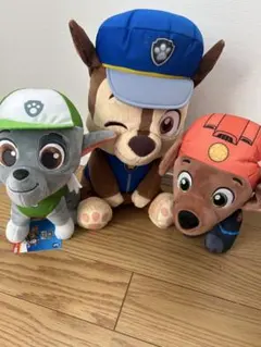 パウパト　セット売り