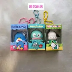 サンリオキャラクターズ チョコボックス タキシードサム ポチャッコ ハンギョドン