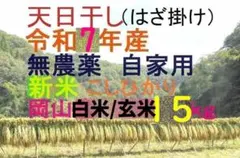 ■令和7年　コシヒカリ 白米/玄米 15キロ　標準米 無農薬　晴れの国　天日干し □令和7年 コシヒカリ 白米/玄米 15キロ 標準米 無農薬 晴れの国 天