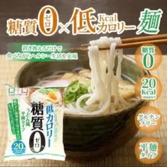 こんにゃくパーク 糖質0 低カロリー麺 うどん風 麺タイプ 180g 8パックのサムネイル