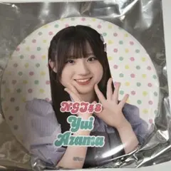 2025年最新】グループ名：NGT48 ピンズ・ピンバッジ・缶バッジの人気