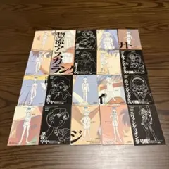 み*や様 【BANDAI】新世紀エヴァンゲリオン カードダスマスターズ 20枚セ