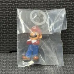 マリオ　めじるしアクセサリー