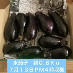 栽培時農薬不使用　長ナス ９個 約０.８kg 本日１６時収穫のサムネイル