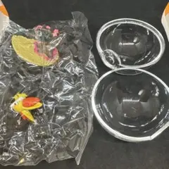 ポケットモンスター　テラリウムコレクション　フォッコ