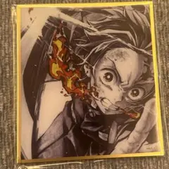 鬼滅の刃　竈門炭治郎　 WEBSHOPくじ アクリル色紙　 A09