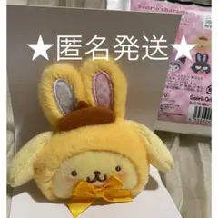 匿名発送 サンリオキャラクターズ シークレットヘアクリップ ポムポムプリン