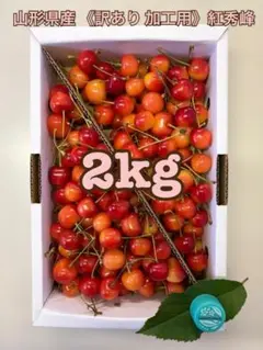 B8/2-6《訳あり加工用 》山形県産さくらんぼ 2kg 紅秀峰 サイズ混合色薄のサムネイル