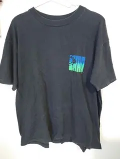 古着 バンドTシャツ Scale the Summit プログレメタルXL - メルカリ