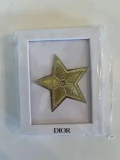 ★DIOR★ノベルティ　ピンバッチ