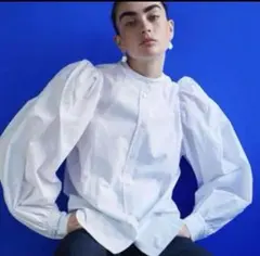 2025年最新】ラドロー ludlow ブラウスの人気アイテム - メルカリ