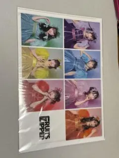FRUITSZIPPER クリアファイル　2周年武道館衣装