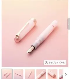 桜御前 century 2026 万年筆 Fペン先文具館コバヤシ - メルカリ