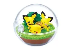 ポケモン　リーメント　テラリウム　ピカチュウ＆ピチュー