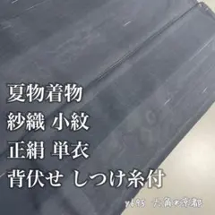 夏物着物 ★ 紗織 小紋 正絹 背伏せ しつけ糸 単衣 y695