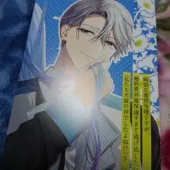 病弱な悪役令嬢ですが、婚約者が過保護すぎて逃げ出したい/特典のみ