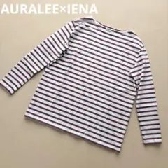 2026年最新】AURALEE 柄・デザイン：ボーダー レディース 長袖 Tシャツ