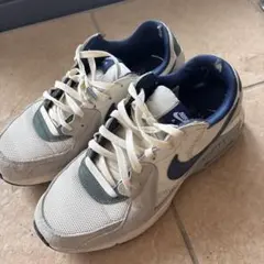 Nike スニーカー ベージュ/ネイビー