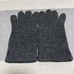 新品、未使用　Polo Ralph Lauren ポロラルフローレン　手袋