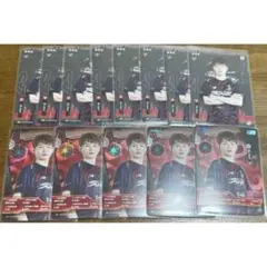 IJLカード SCARZ Yuuri