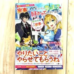 悪役令嬢でも家事がしたい! カイシャイン36 あめや 本 小説