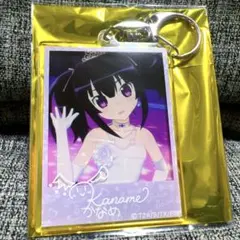 プリティーリズム オーロラドリーム メモリアルアクリルキーホルダー