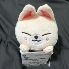 SKZOO くっつきぬいぐるみ アイエン GIGO限定