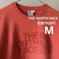 ◆THE NORTH FACE◆ロングスリーブキャンプティー UV オーガニック