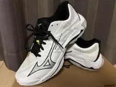 【新作】Mizuno ウェーブライトニングELITE24.5cm