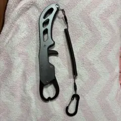 Item thumbnail for item d30c43ed-fc73-47bf-bef7-10137c825447