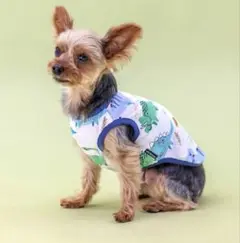 犬と生活　3号のサムネイル