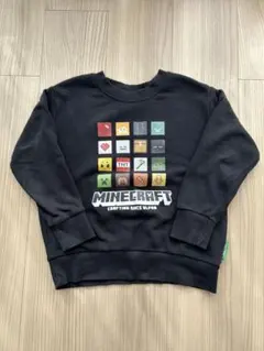 Minecraft トレーナー 120サイズ