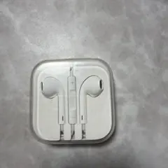 Apple　イヤホン　有線　ケース付き