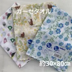 Item thumbnail for item 13716409-2dc2-44d1-886f-a646bc7c3fd9