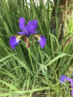 ヤンちゃん様 リクエスト 3点 まとめ商品